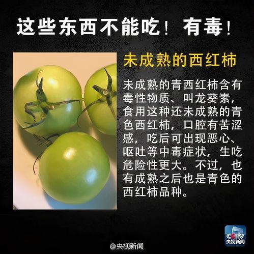 隐私风险自测app 