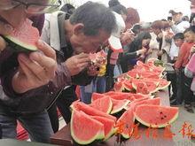 消了个瓜最新版2024手游地址 